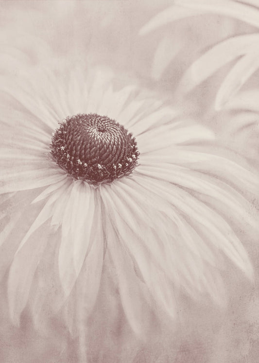 Reminiscence | Poster
