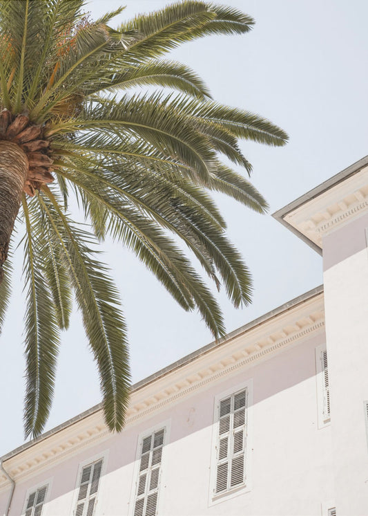 Tropisches Menton | Poster