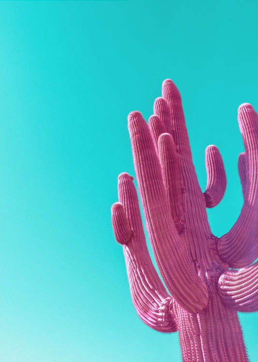 Magenta Pink Saguaro | Leinwand