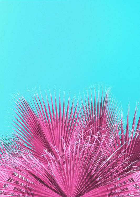 Elektrische rosa Palmwedel | Leinwand
