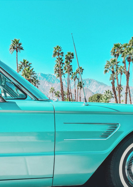 Blaugrüner Donnervogel in Palm Springs | Leinwand