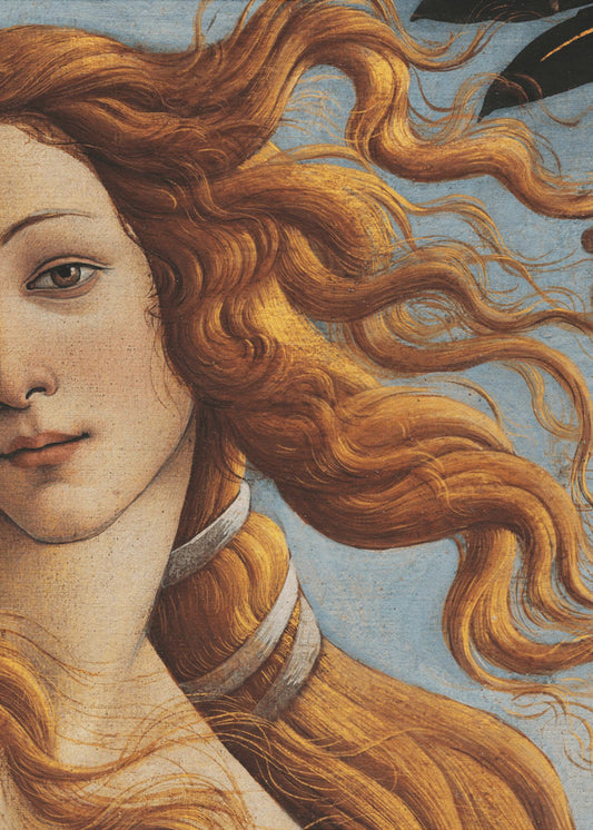 Die Geburt der Venus von Sandro Botticelli | Leinwand