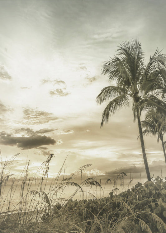 BONITA BEACH Vintage Sonnenuntergang | Poster