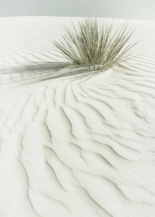 WHITE SANDS Idyllische Vintage-Landschaft | Poster