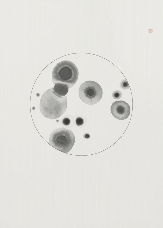 Petrischale | Poster