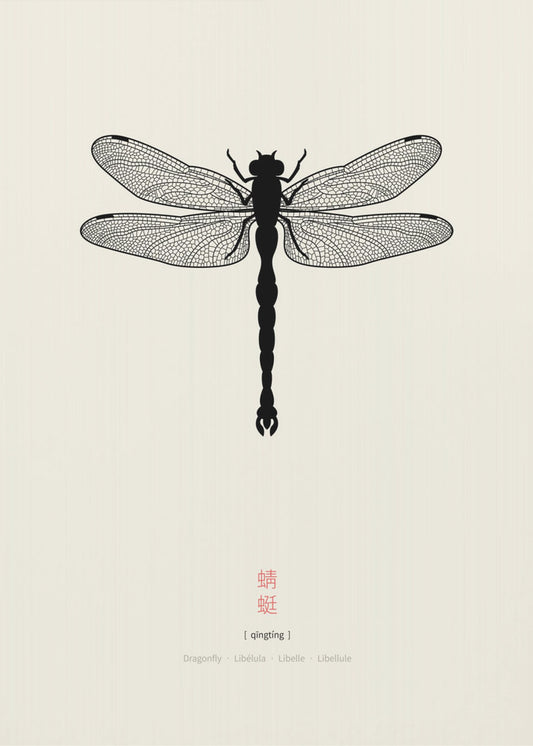Libelle | Leinwand