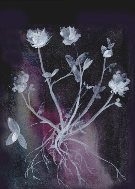 Secret Garden Ii | Canvas