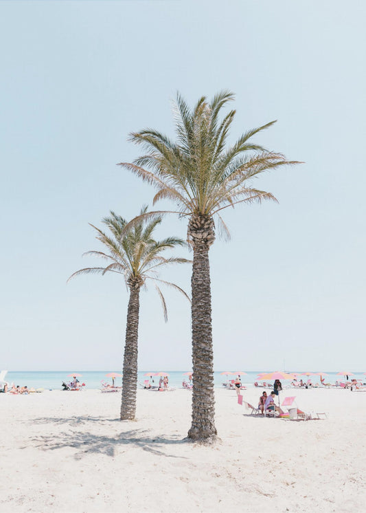 Palm tree at the beach | Poster