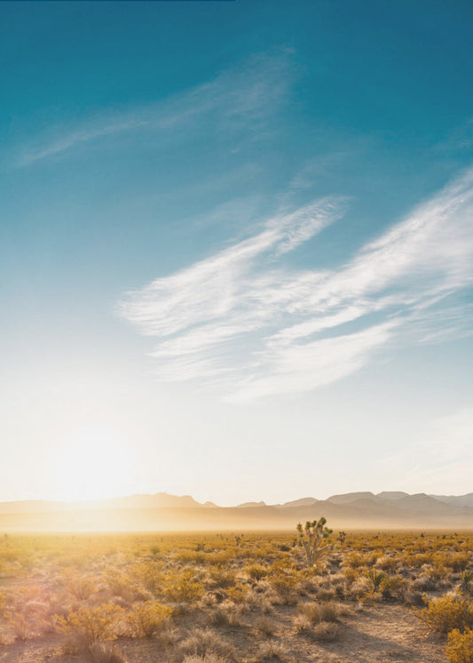 Sonnenaufgang in der Wüste von Nevada | Poster