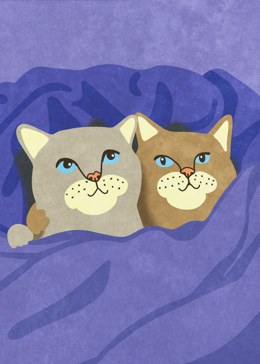 Katzen im Bett | Leinwand