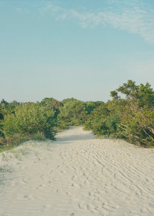 Sullivans Insel | Poster