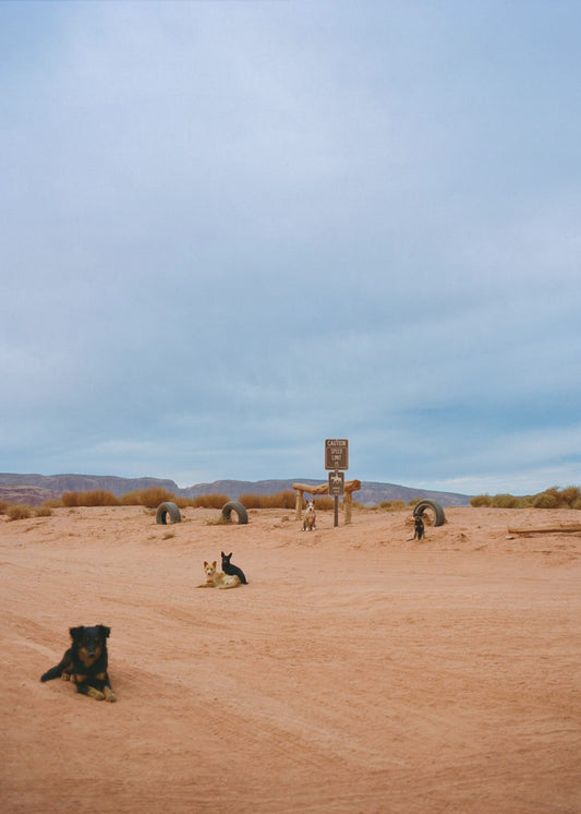 Monument Valley VIII | Leinwand
