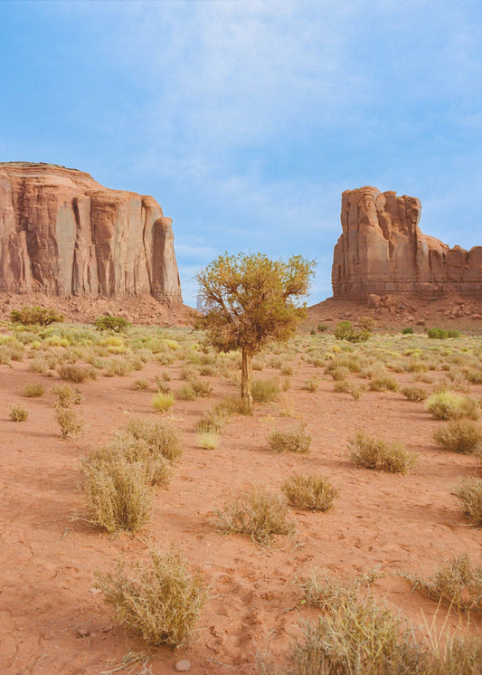 Monument Valley X | Leinwand