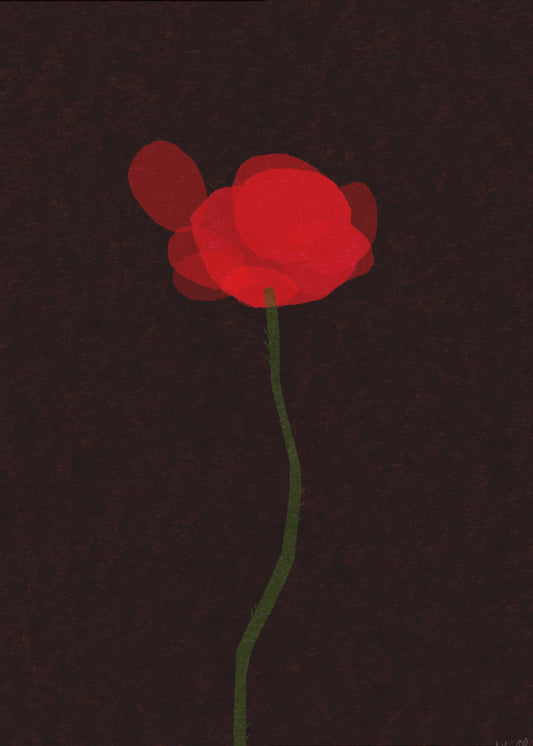Mohn | Leinwand