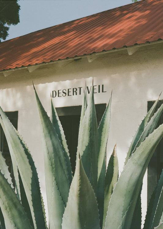 Desert Veil | Poster
