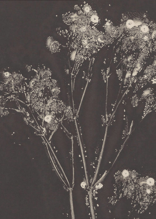 Florales Flüstern | Poster