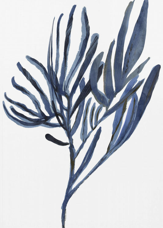 Blaues Wasserpflanzen-Poster 2 | Poster