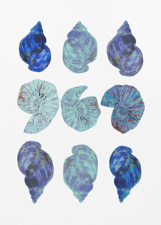 Blaue Muscheln Poster | Poster