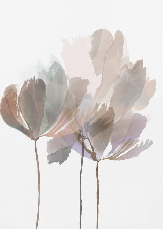 Erröten rosa Blumen | Poster