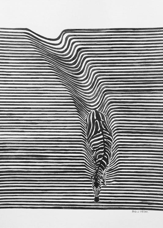 Zebra im Gras | Poster