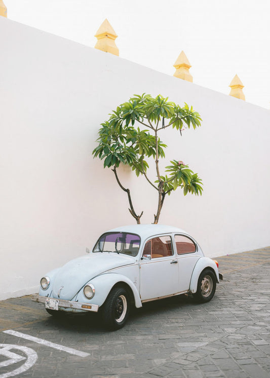 Pastellfarbener Volkswagen Käfer in den Straßen von Oaxaca, Mexiko | Poster