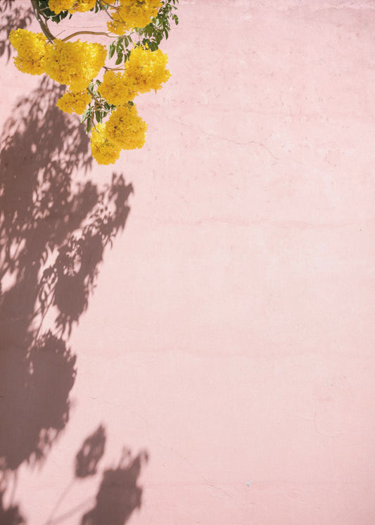 Gelb und Pink | Oaxaca, Mexiko | Poster