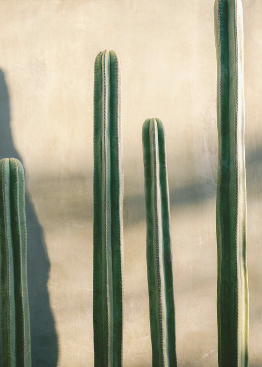 Oaxaca Shades of Green | Mexiko Reisefotografie | Poster
