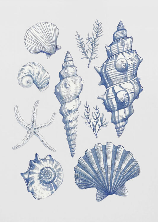Muschelcollage | Poster