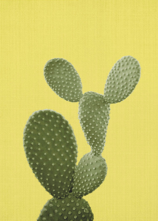 Gelber Kaktus | Poster