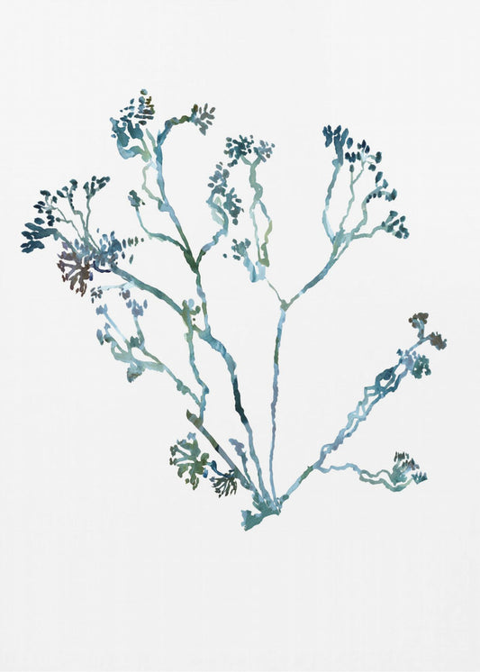Zarte blaue Blumen 2 | Poster