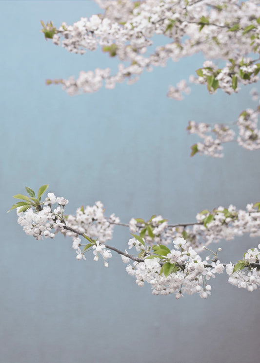 Bunter Frühling 14 | Leinwand