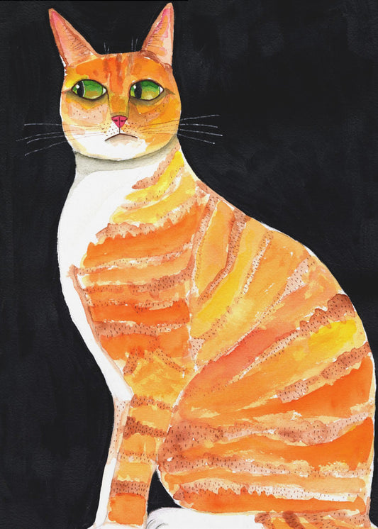 Orange Katzen-Seitenaugen | Poster