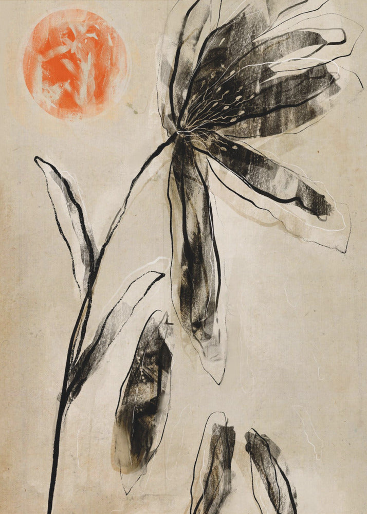 Shadowed Bloom | Poster