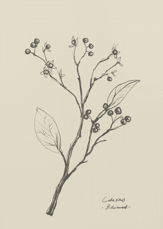 Blumen 2 | Leinwand