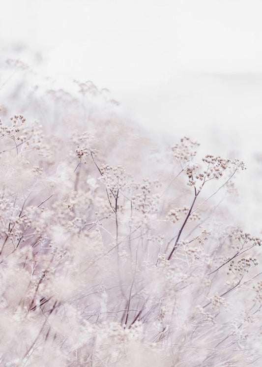 Unknown 13 | Canvas