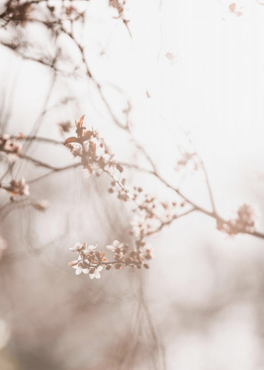 Letzter Frühling 3 | Poster
