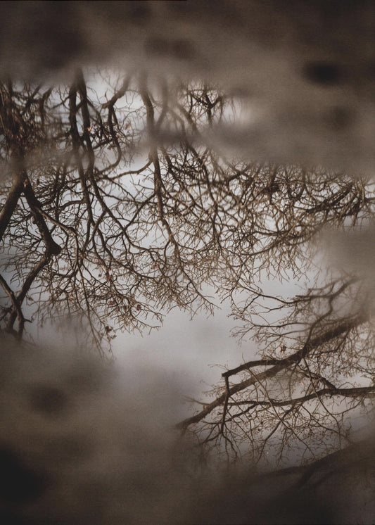 Winterreflexionen | Poster