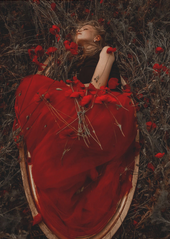 Gerahmt mit Mohnblumen | Leinwand