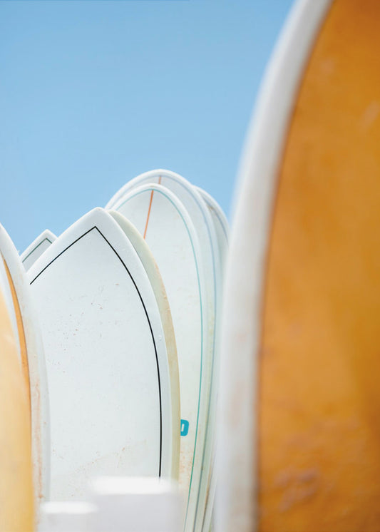 Surf Vibes | Poster