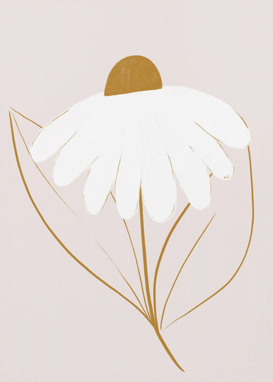 Weißes Gänseblümchen | Poster