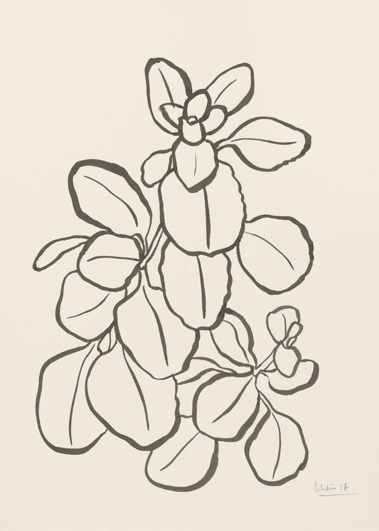 Kalanchoe Pflanze | Leinwand