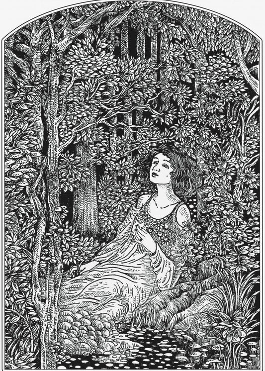 Frau im Wald | Poster