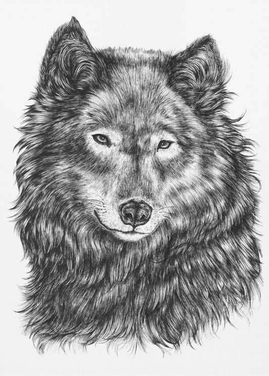 Wolf | Poster