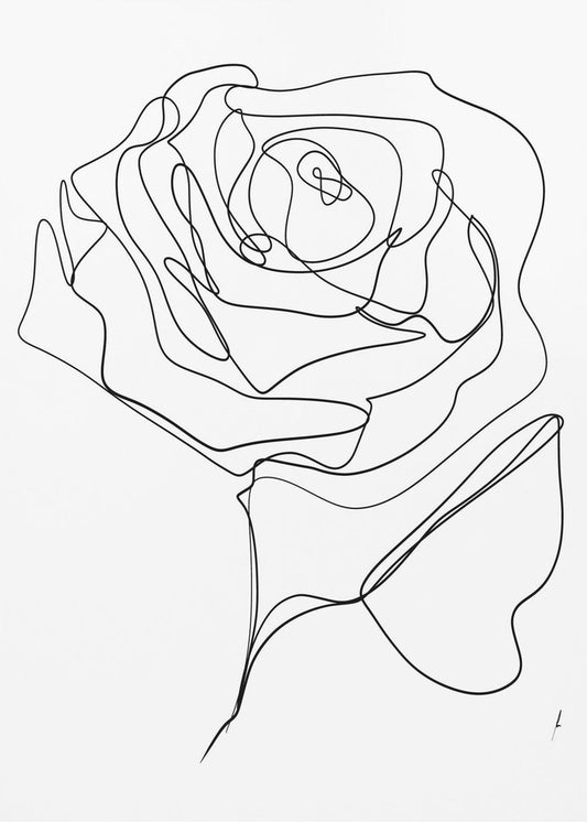ROSE EINLINIENZEICHNUNG | Leinwand