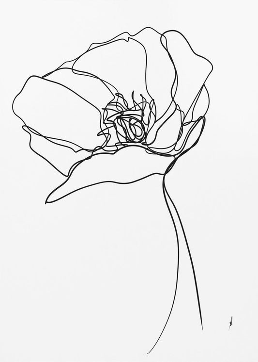 Mohn in einer Zeile | Poster