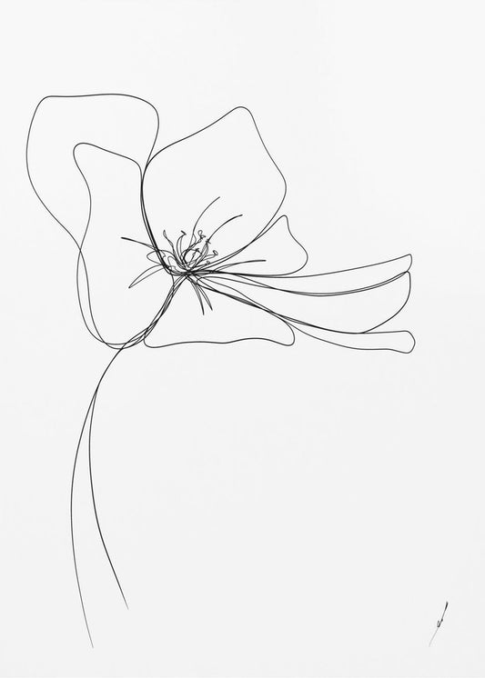 Wunderliche Blüte | Poster