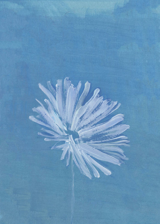 Weiße Blume auf blauem Hintergrund | Leinwand