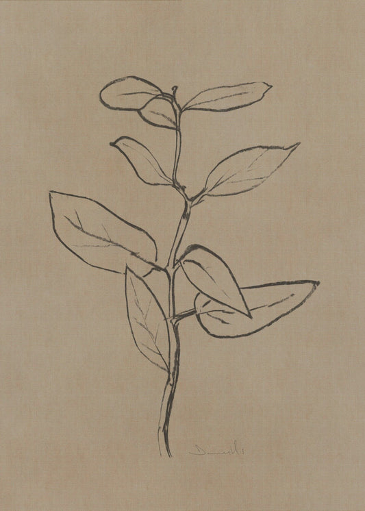 Eucalyptus Sapling | Poster