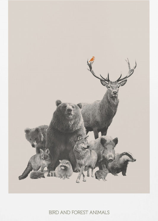 Vogel- und Waldtiere | Poster