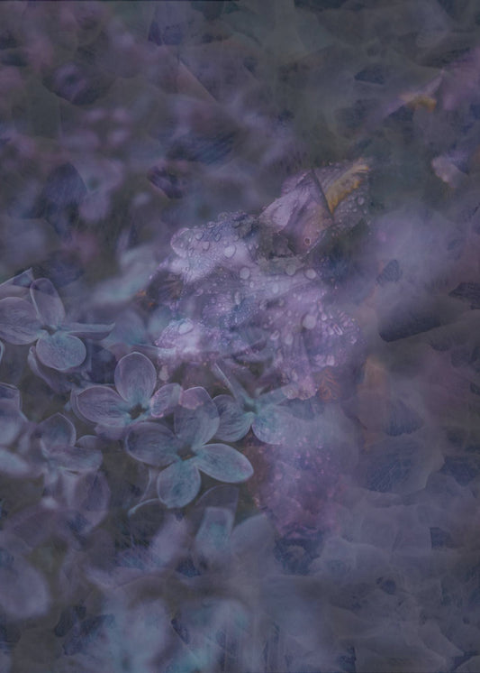 Frühling #12.png | Leinwand